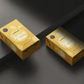 Small Cardboard Juice Box 3